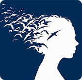 Logo les nouv'l expertes